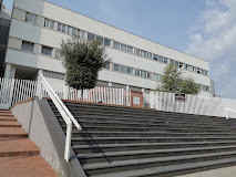 acerra comune.jpg (14361 byte)